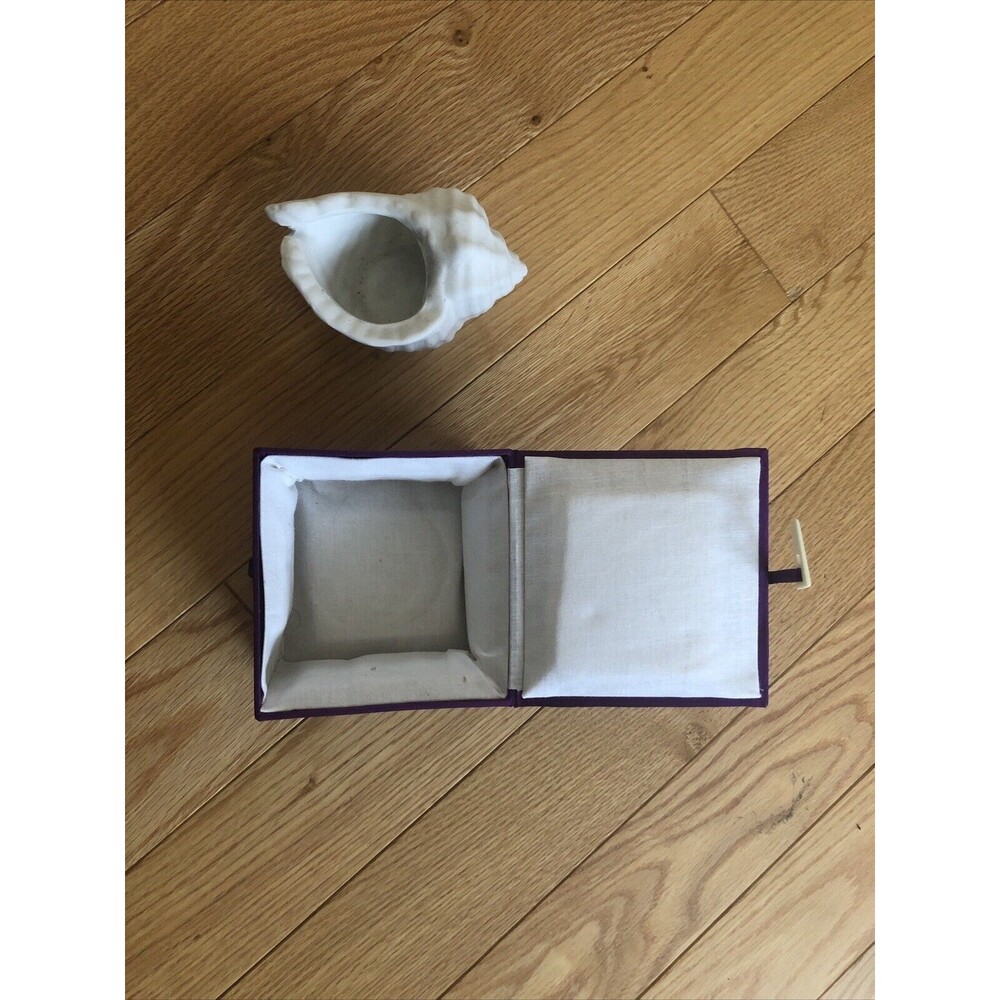 Ceramic Conch Sea Shell Planter with Decorative Gift Box